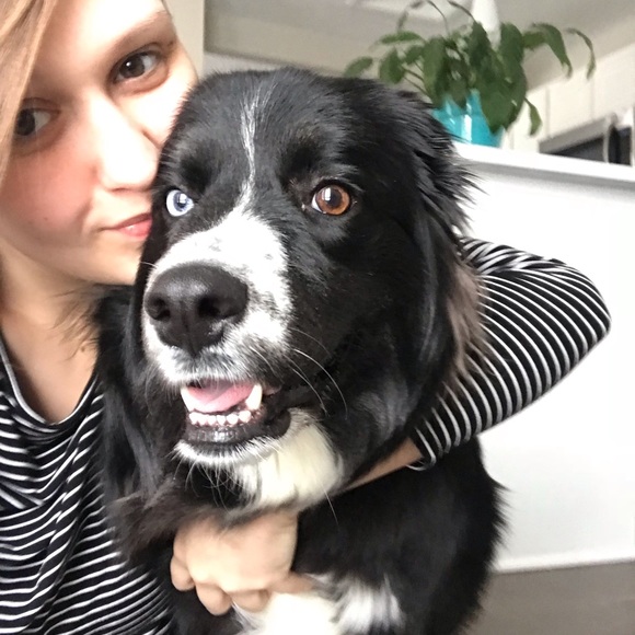 MEET THE POSHER - Picture 2 of 3